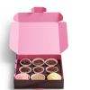 Chocolate Cupcake Decorating Kit