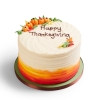 Made Without Gluten Thanksgiving Rainbow Cake